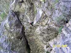 Descrizione: Descrizione: Descrizione: Descrizione: mini SEVE SU VIA NUOVA PK AL GROTTONE 1